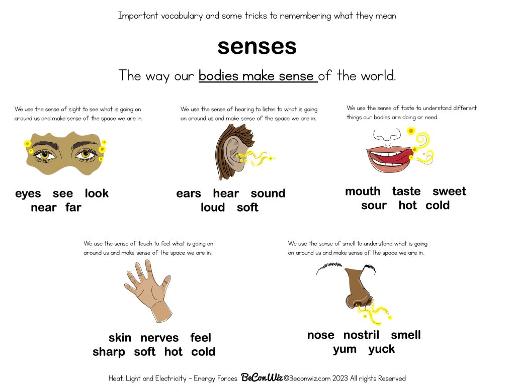 SCIENCE DEFINITION DICTIONARY visual data 4
